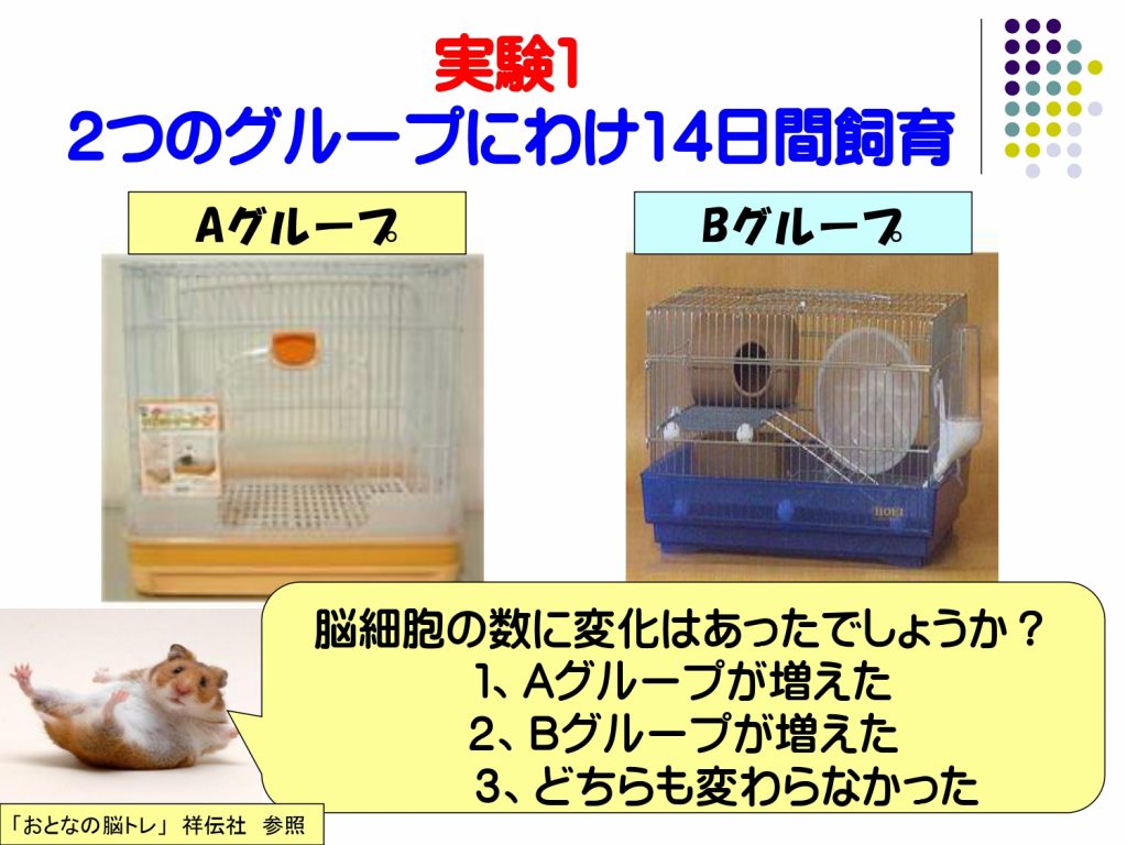 認知症に関する脳細胞の変化の実験1の説明画像