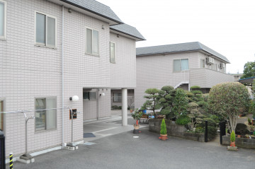 ミモザ茅ヶ崎